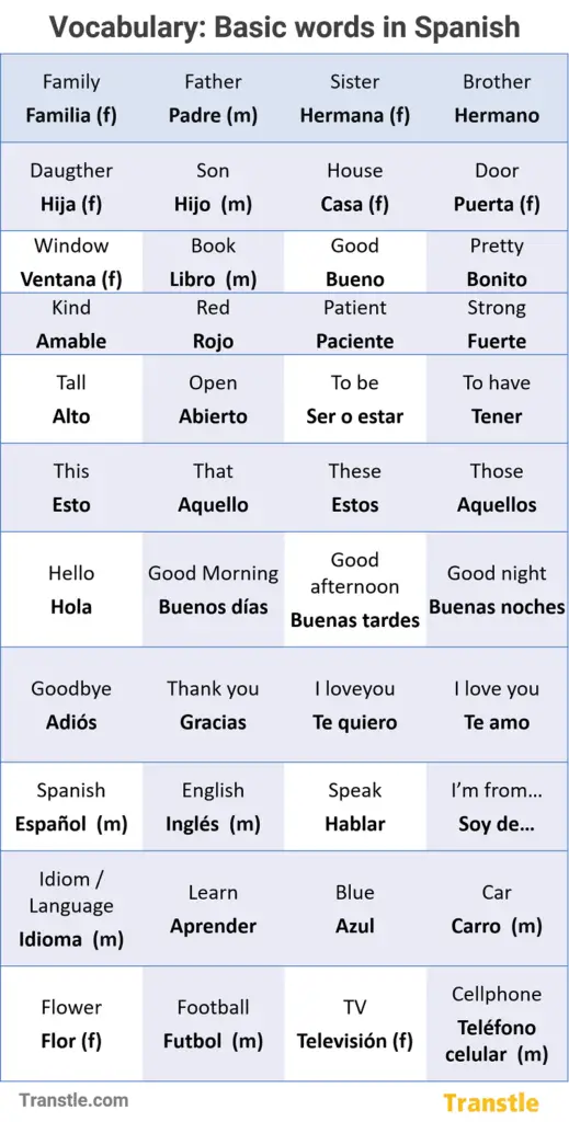 Spanish Subject Pronouns - Guide, Chart, Examples & Practice