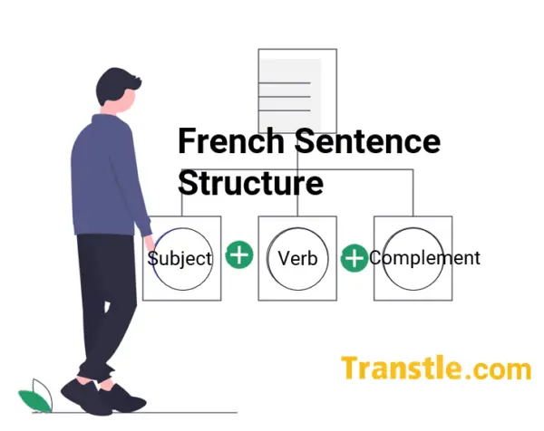 Avoir: How To Use Avoir, Conjugation And Examples - Transtle