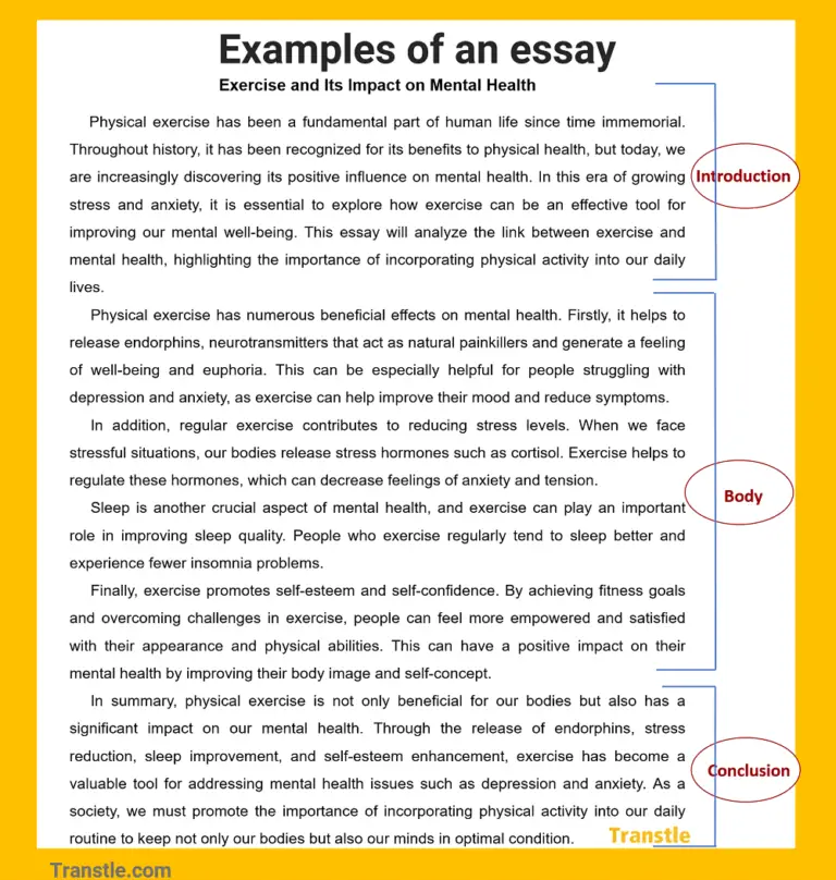 Examples of Essays with Introduction, Body & Conclusion - Transtle