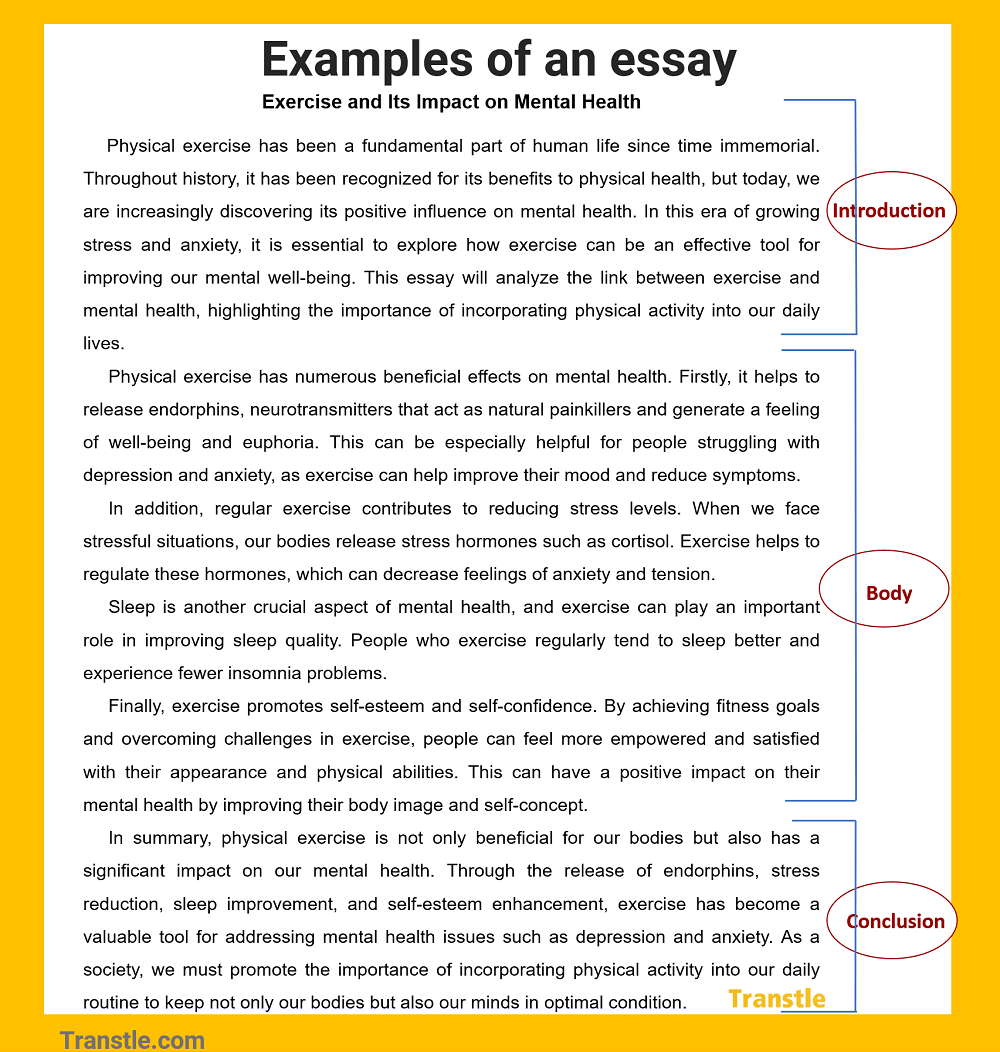 Example of essay with introduction, body and conclusion