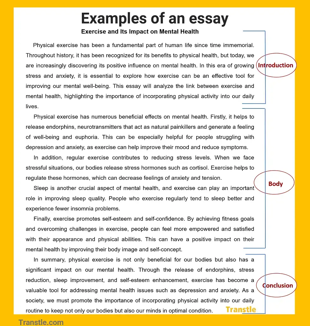 Example of essay with introduction, body and conclusion