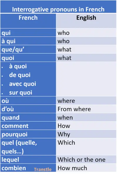 Interrogative Sentences In French Simple Guide With Examples Transtle 