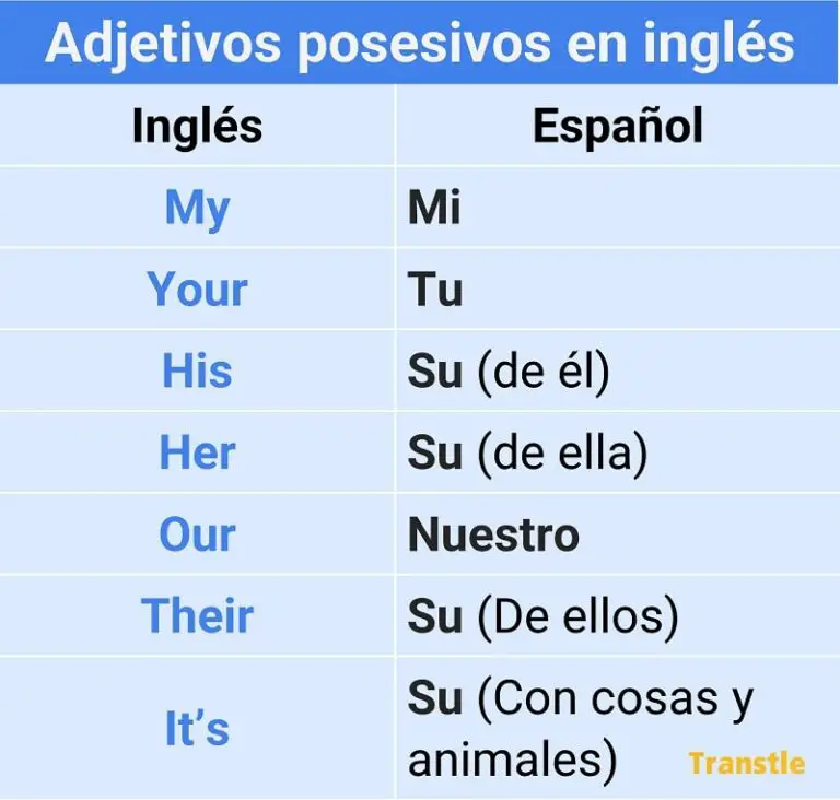 Adjetivos posesivos en ingles y español